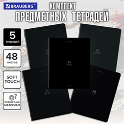 Тетради предметные, КОМПЛЕКТ 5 ПРЕДМЕТОВ, 48 л., SoftTouch, BRAUBERG "РИТМ", 405187 - фото 14922864