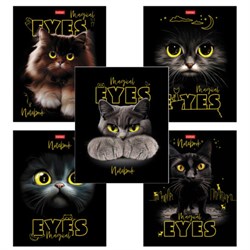 Тетрадь А5 48 л., HATBER скоба, клетка, матовая ламинация, 3D-лак, "Волшебные глаза" (микс), 088313, 48Т5лолВ1 - фото 14922901