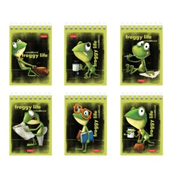 Блокнот МАЛЫЙ ФОРМАТ А7, 40 л., гребень, картон, клетка, HATBER, "Лягух Кир", 081184, 40Б7В1гр - фото 14945202