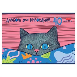 Альбом для рисования А4, 40 л., скоба, обложка картон, HATBER, 205х290 мм, "Котофей" (5 видов), 091512, 40А4В - фото 15020697