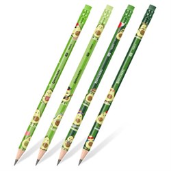 Карандаш чернографитный с принтом BRAUBERG "AVOCADO", 1 шт., HB, с ластиком, корпус ассорти, 182015 - фото 15037754