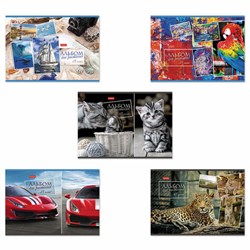 Альбом для рисования А4 48 л., скоба, обложка картон, HATBER, 205х290 мм, Ассорти, 062541, 48А4В - фото 15053972
