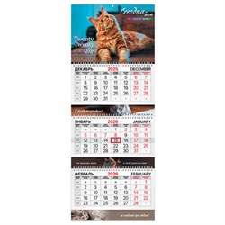 Календарь квартальный 2026 г., 3 блока, 3 гребня, бегунок, мелованная бумага, BRAUBERG EXTRA, "Котик", 116824 - фото 15054313