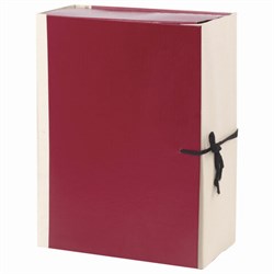 Папка для бумаг архивная А4 (225х310 мм), 120 мм, 4 завязки, бумвинил, корешок - коленкор, 123201 - фото 15054497