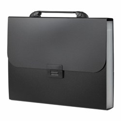 Папка-портфель пластиковая BRAUBERG "Energy" А4 (330х256х32 мм), 7 отделений, черная, 221204 - фото 15055183
