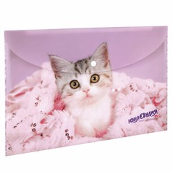 Папка-конверт с кнопкой ЮНЛАНДИЯ "Котенок", А4, 160 мкм, до 100 листов, цветная печать, 228049 - фото 15055399