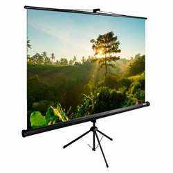 Экран Cactus TriExpert CS-PSTE-200x200-BK, 200x200 см, 1:1, напольный, черный - фото 15055842