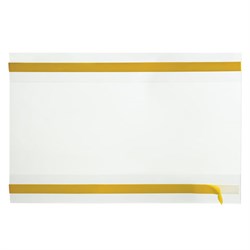 Карманы информационные самоклеящиеся PS-T, А6, горизонтальные, КОМПЛЕКТ 10 шт., ПЭТ, толщина 0,3 мм, 171881 - фото 15056241