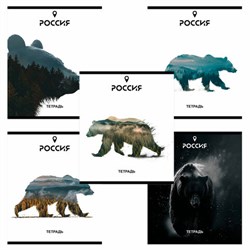 Тетрадь А5 48 л. ПЗБМ, скоба, клетка, Soft Touch, брайль, "Место Силы" (микс в спайке), 23294 - фото 15057841