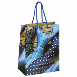 Пакет подарочный (1 штука) 18x10x23 см, ЗОЛОТАЯ СКАЗКА "Галстуки", ламинированный, 606586 - фото 15059310
