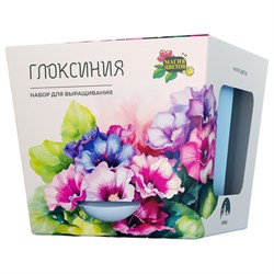 Набор для выращивания растений МАГИЯ ЦВЕТОВ "Глоксиния" (горшок, грунт, семена), mf-018 - фото 15081663