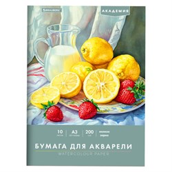 Папка для акварели БОЛЬШАЯ А3, 10 л., 200 г/м2, 297х420 мм, BRAUBERG АКАДЕМИЯ, "Летний натюрморт", 117741 - фото 15097535