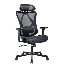 Кресло BRABIX PREMIUM "Axion ER-701", синхромеханизм, регулируемые подголовник и спинка, сетка, черное, 532965 - фото 15223799