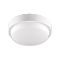 Светодиодный светильник WOLTA LCL04-12W-R21-4K-SM - фото 15236884