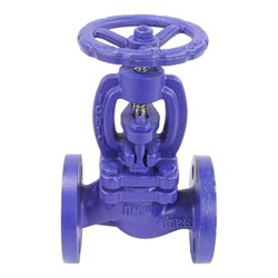 Чугунный фланцевый сальниковый запорный клапан DN.ru 215a - фото 15245383