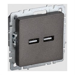 Розетка usb IEK Brite - фото 15631135