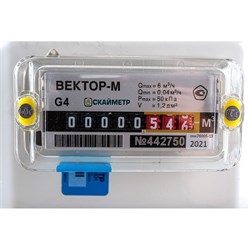 Диафрагменный счетчик газа Вектор Век.Л - фото 15799725