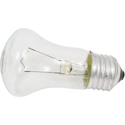 Лампа накаливания КЭЛЗ 8106005 - фото 15840409