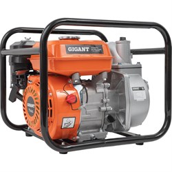 Мотопомпа для чистой воды Gigant GWP50 - фото 15952671