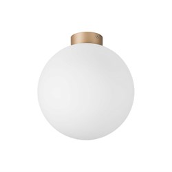 Потолочный светильник Lightstar 812033 - фото 16020493