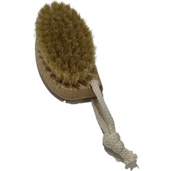 Щетка для массажа ООО Агростройлидер САД-24.02 - фото 16074283