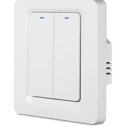Умный двухкнопочный выключатель Roximo SWBTN01-2 - фото 16086434
