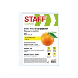Папки-файлы перфорированные А4 STAFF "ЭКОНОМ", КОМПЛЕКТ 100 шт., матовые, 30 мкм, 273002 - фото 16091543