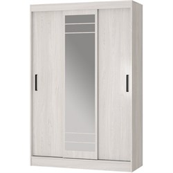 Шкаф-купе Арника Тео ШКК-02 - фото 16175539