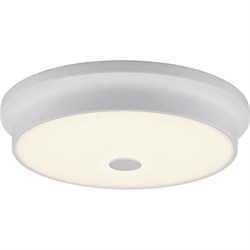 Настенно-потолочный светильник CITILUX Фостер-2 - фото 16232641