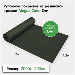 Резиновое рулонное покрытие Alegria color 850 - фото 16234267