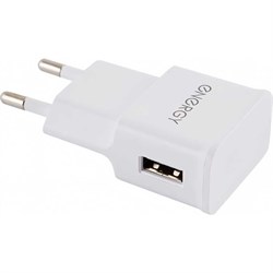 Сетевое зарядное устройство Energy ET-09 - фото 16242865