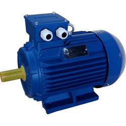 Электродвигатель ЭМШ AIS132S-4У1 - фото 16329099