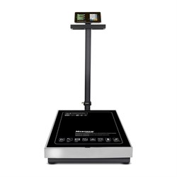 Весы M-ER MERCURY 333ACLP-300.50/100 - фото 16468230