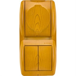 Двухклавишный выключатель и розетка Lezard NATA - фото 16507356