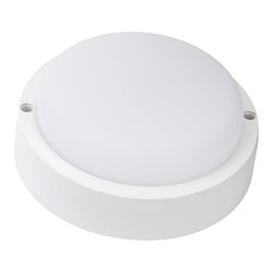 Cветодиодный круглый ЖКХ светильник IONICH 1598 - фото 16509888