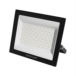 Светодиодный прожектор Lumin'arte LFL-100W/06 - фото 16525657