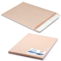 Конверт-пакеты С4 плоские (229х324 мм), до 90 листов, крафт-бумага, отрывная полоса, КОМПЛЕКТ 25 шт., 161150.25 - фото 16562104