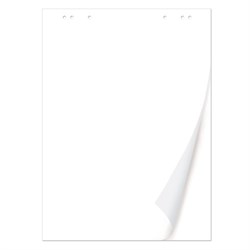 Блокнот для флипчарта ПЛОТНЫЙ 80 г/м2, BRAUBERG, 67,5х98 см, 50 листов, белый (ЧИСТЫЙ), 128648 - фото 16562146