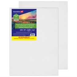 Холсты на картоне НАБОР 2 штуки (40х60 см), хлопок, грунт, 280 г/м2, BRAUBERG ART CLASSIC, 192656 - фото 16562742