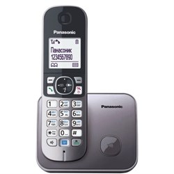 Радиотелефон PANASONIC KX-TG6811RUM, память 50 номеров, АОН, повтор, спикерфон, полифония, 10-100 м, серый - фото 16563538