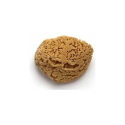 Натуральная морская губка PAVAN 3120 S0112503 - фото 16595996