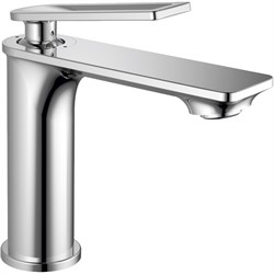 Одноручный смеситель для умывальника RUSH Palm - фото 16610365