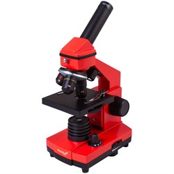 Микроскоп Levenhuk Rainbow 2L PLUS - фото 16629435