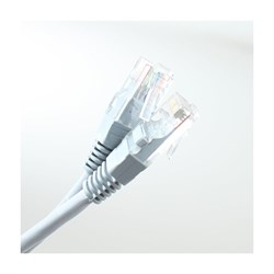 Патч-корд Pro Legend PL1223 - фото 16632214