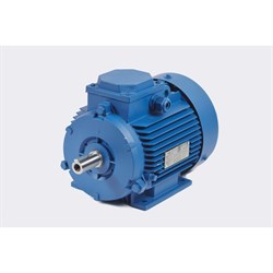 Электродвигатель МЭЗ У2-220/380-50IM1081-Р.К.В. К31Е-ААА IE1 Могилев АИР112МВ8 - фото 16640459