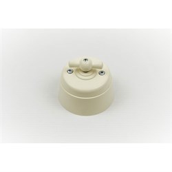 Поворотный выключатель Interior Electric серии "вектор" - фото 16641319