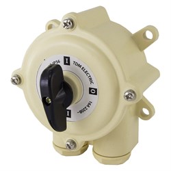 Пакетный переключатель TDM ELECTRIC ПП 2-63/Н2 - фото 16671884