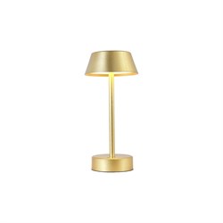 Настольная лампа Crystal lux SANTA LG1 GOLD - фото 16688856