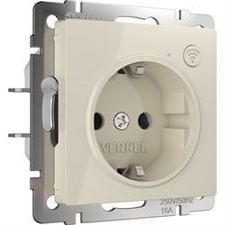 Розетка WERKEL a056421 - фото 16714972