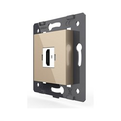 Розетка LIVOLO VL-FCHD-2AP - фото 16734381